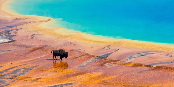 Yellowstone National Park